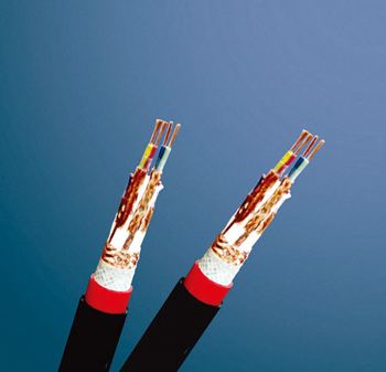 氟塑料絕緣電子計算機(jī)電纜